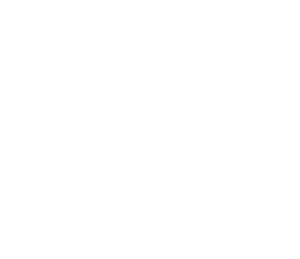 DIRCOMS_PaúlZN
