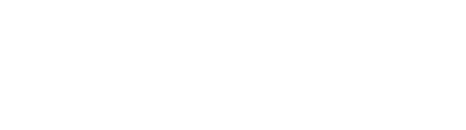 PaúlZN LOGO 2026_